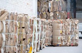 makulatura, Wiatrex sp. z o.o., Nowogród