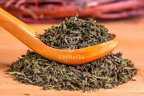 pokrzywa liść, EkoHerba Karol Sidoruk, Hajnówka