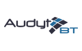 Audyt BT