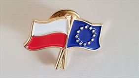 pins, Top Design Sp. z o.o., Białystok