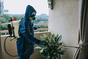 fumigacja, Fenda Zakład zwalczania szkodników Beata Gruszka, Włocławek
