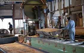 usługi tartaczne, Tartak Okalewo Jarosław Lewandowski, Okalewo