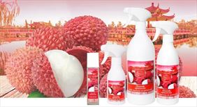 Chanti, Tuden Sp. z o. o., Toruń