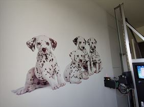 nadruk ścienny, Fresk Druk Ścienny Michał Abramowicz, Gdańsk