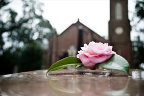 ceremonia pochówku, Zakład Usług Pogrzebowych Feniks Henryk Wszołek, Hanna Wszołek spółka Jawna, Grudziądz