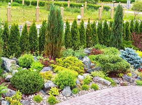 zakładanie ogrodów, Jaskier Przedsiębiorstwo Handlowo-UsługoweTomasz Różewski, Gdynia