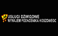 Paweł Szmurło Dźwigi i podnośniki