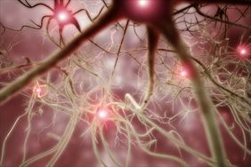 neurologia, Dobra Diagnostyka Sp. z o.o., Gdynia