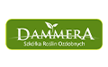 Szkółka Roślin Ozdobnych DAMMERA