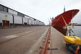 usługi portowe, Cargofruit Sp. z o.o., Gdańsk