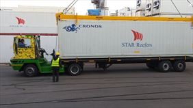 spedycja towarów, Cargofruit Sp. z o.o., Gdańsk