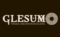 Glesum Firma archeologiczna Maciej Marczewski
