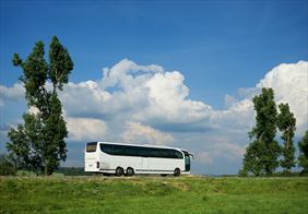 uslugi transportowe, Pol - Speed Michał Pacholik, Dąbrowa Górnicza