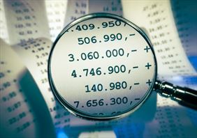 kontrola finansów, Radek Biuro rachunkowe, Żory