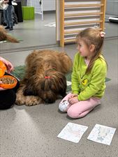 dogoterapia, Centrum Terapii Statera A. Lorenc Duc P. Duc S.C., Katowice