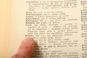 słownik języka niemieckiego, Germanikus Weronika Tyslik, Gliwice