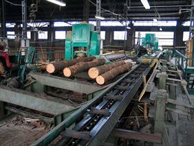 tartak, PPD Gródków Spółka z ograniczoną odpowiedzialnośćią, Gródków