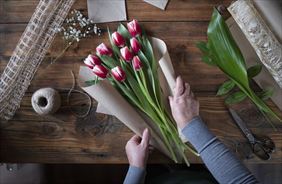 florystyka, Zielone Pojęcie Kwiaciarnia, Bytom