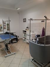 Salon Pielęgnacji Psów Dżeki, Dżeki Salon Pielęgnacji Psów Dorota Worwa, Nowy Targ