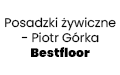Posadzki żywiczne - Piotr Górka Bestfloor