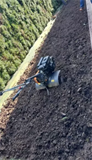 spulchnianie gleby, Perfect Garden Usługi Ogrodnicze Anna Pasiut, Trzetrzewina