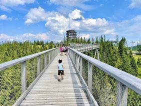 spacer w koronach drzew na słowacji, FHU Janosik Travel Władysław Palider, Zakopane