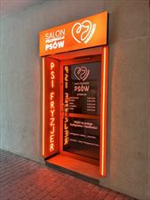 groomer, Salon Pielęgnacji Psów HACHIKO, Kielce