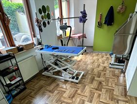 salon groomerski, Salon Pielęgnacji Psów HACHIKO, Kielce
