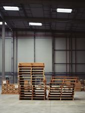 sprzedaż palet, Produkcja palet i opakowań drewnianych, Bolesław