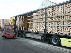 sprzedaż palet, Europol Sp.j., Głuszyna