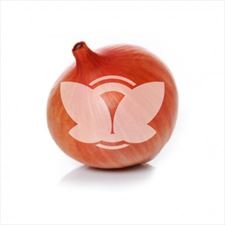 Cebula Rosanna, Sklep Internetowy dlaroslin.pl, Sieradz