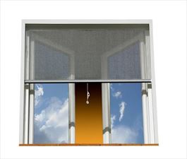 moskitiera, Adar Dariusz Olszewski, Piotrków Trybunalski