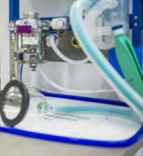 badania laboratoryjne, Labrador Agnieszka Szczepanik, Tomasz Szczepanik s.c., Łódź