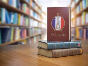 tłumacz francuzkiego, Uniword Spółka z ograniczoną odpowiedzialnością, Kraków