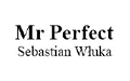 Mr Perfect Sebastian Włuka