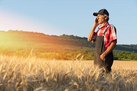 ubezpieczenie rolnicze, Pogoda Ubezpieczenia, Rzeszów