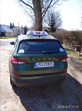 transport na zamówienie, Taxi Blue Waldemar Gronkowski, Nałęczów