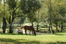 pokoje na wynajem, Agroturystyka - U Prezesa, Chmiel