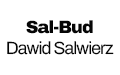 Sal-Bud Dawid Salwierz