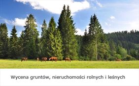 wycena gruntów, Promerit Wycena Nieruchomości Maciej Lorenc, Sanok
