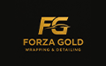 Forza Gold - Auto Detailing Grzegorz Garbacik