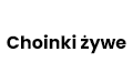 Choinki żywe