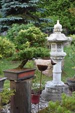 relaks w mazurskiej turystyce, Impresje Japońskie. Odpoczynek w otoczeniu bonsai., Leśniewo