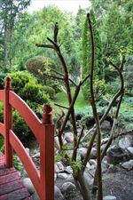 mazury nocleg, Impresje Japońskie. Odpoczynek w otoczeniu bonsai., Leśniewo