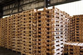 europalety, Maj Korporacja Sprzedaz i recykling palet, Poznań