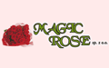 Magic Rose Spółka z ograniczoną odpowiedzialnością
