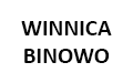 Winnica Grabowski Binowo