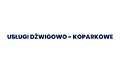 Dariusz Łukasz Witkowski Usługi Dźwigowo- Koparkowe