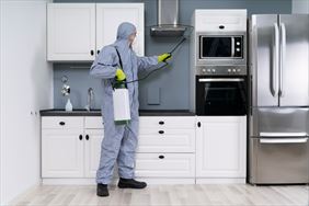 dezynfekcja, ZU "ANWIT" Anna Jakubowska, Maków Mazowiecki