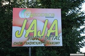 jaja kurze, Kokodrob Ferma kur niosek Iwona Mirkowska, Karolina